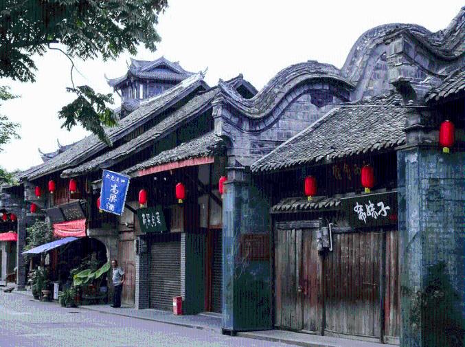 拯救精灵的土地9